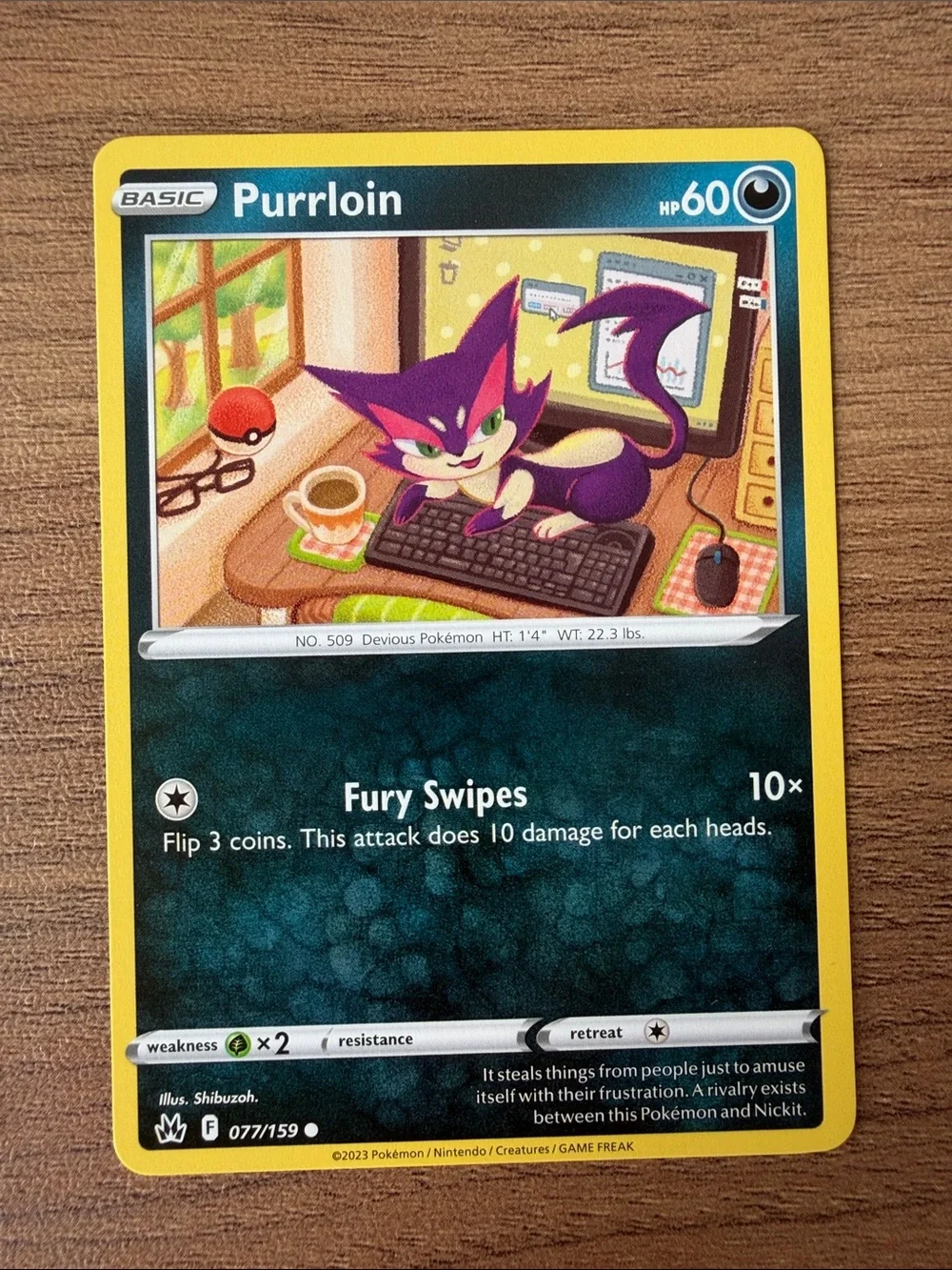 🐱 Cat Pokémon Card Lot | Sprigatito Litten Meowth Perrserker ✨5/$25✨